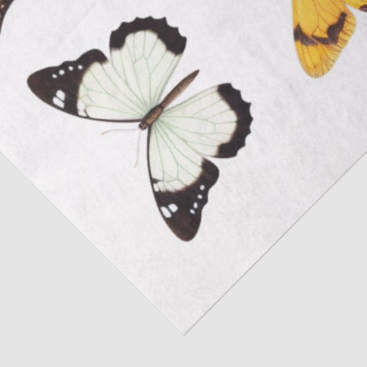 蝶の万華鏡のように千変万化するパターン1デクページ紙 薄葉紙 (詳細)