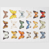 蝶の万華鏡のように千変万化するパターン1デクページ紙 薄葉紙 (正面)