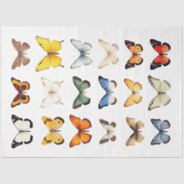 蝶の万華鏡のように千変万化するパターン1デクページ紙 薄葉紙