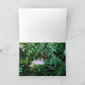 蝶の不思議 カード (内部)