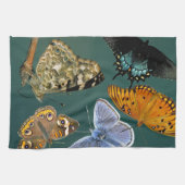 蝶の不気味な キッチンタオル (横)