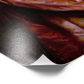 蝶の予期せぬ到着 フォトプリント            (角)