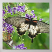 蝶の伝説のポスタープリント ポスター (正面)