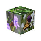 蝶の写真の装飾写真 フォトキューブ (裏面アングル)