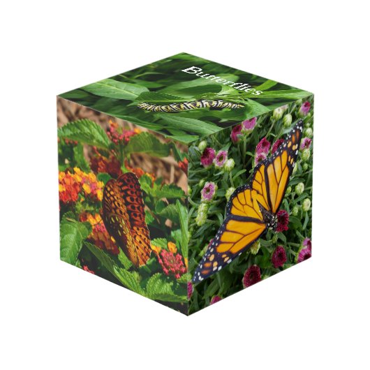 蝶の写真の装飾写真 フォトキューブ (正面アングル)