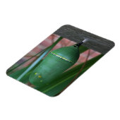 蝶の写真の(昆虫)オオカバマダラ、モナークのクリサリス マグネット (左側)