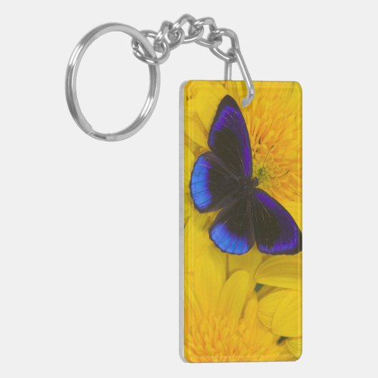 蝶の写真 キーホルダー (正面左)