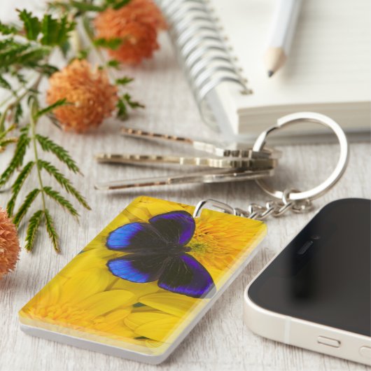蝶の写真 キーホルダー (正面右)