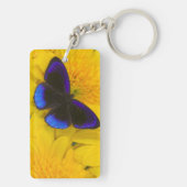蝶の写真 キーホルダー (裏面)