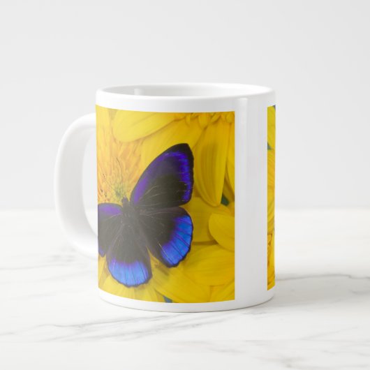 蝶の写真 ジャンボコーヒーマグカップ (正面左)