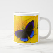 蝶の写真 ジャンボコーヒーマグカップ (右)