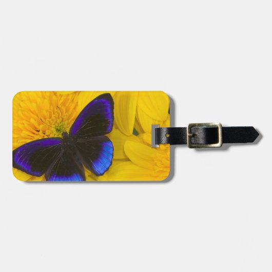 蝶の写真 ラゲッジタグ (正面横)