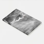 蝶の友人と子猫 ポストイット (アングル)