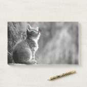 蝶の友人と子猫 ポストイット (デスク)