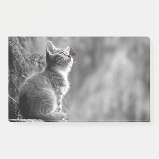 蝶の友人と子猫 ポストイット (正面)
