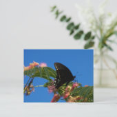 蝶の喜びの風景のシーン ポストカード (スタンド正面)