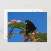 蝶の喜びの風景のシーン ポストカード (正面/裏面)