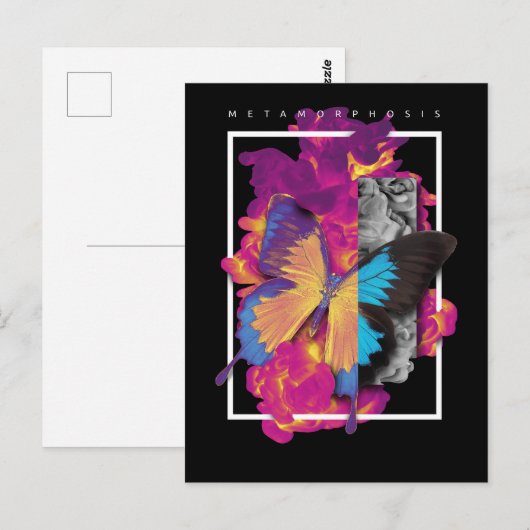 蝶の変態 ポストカード (正面/裏面)