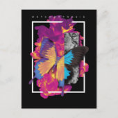 蝶の変態 ポストカード (正面)