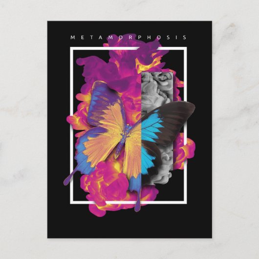 蝶の変態 ポストカード (正面)