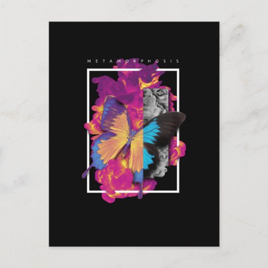 蝶の変態 ポストカード (正面)