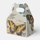 蝶の変身の好意ボックス フェイバーボックス (裏面サイド)