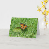 蝶の夏 カード (黄色い花)