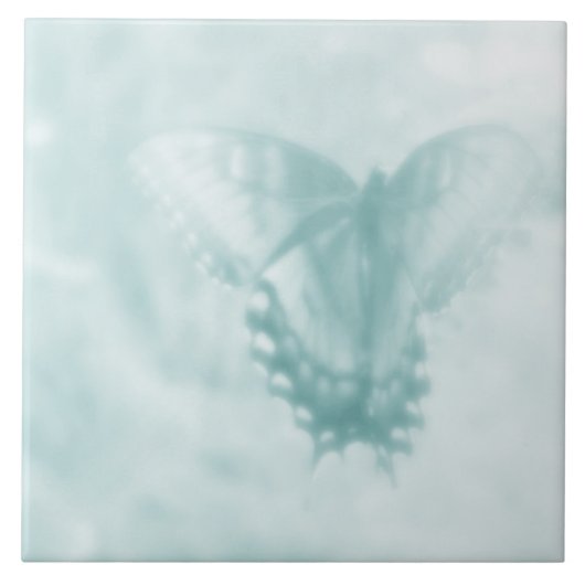 蝶の夢 タイル (正面)