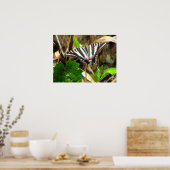 蝶の夢 ポスター (キッチン)