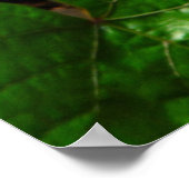 蝶の夢 ポスター (角)