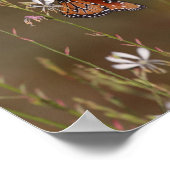 蝶の女王とヒメグサ ポスター (角)