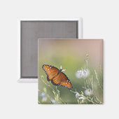 蝶の女王の明かり マグネット (正面/裏面)