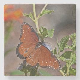 蝶の女王 ストーンコースター