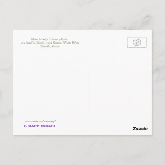 蝶の女王 ポストカード (裏面)