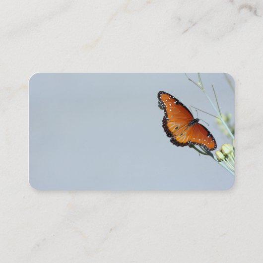 蝶の女王 名刺 (裏面)