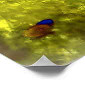 蝶の妖精のポスター ポスター (角)