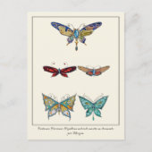 蝶の宝石を飾った装飾ブローチ ポストカード (正面)