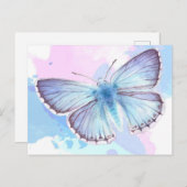 蝶の技カラフル。 |スペシャルギフト 案内ポストカード (正面/裏面)