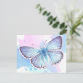 蝶の技カラフル。 |スペシャルギフト 案内ポストカード (スタンド正面)