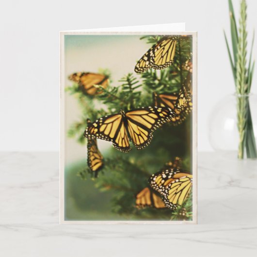 蝶の挨拶 – 空白の Greeting Card シーズンカード (正面)