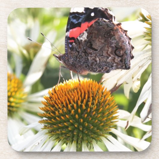 蝶の提督の花 コースター (正面)