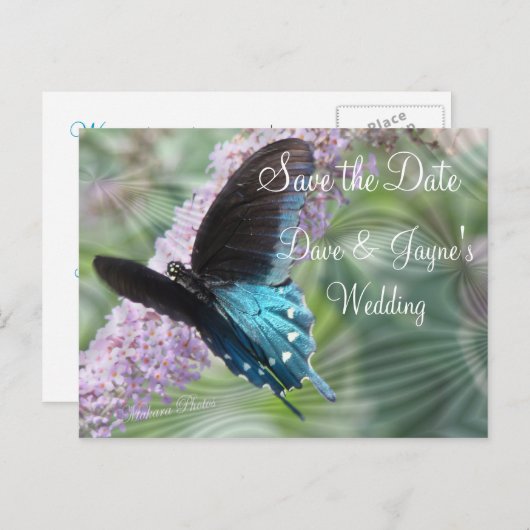 蝶の日付を保存カスタマイズ- 案内ポストカード (正面/裏面)