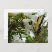 蝶の春 ポストカード (正面/裏面)