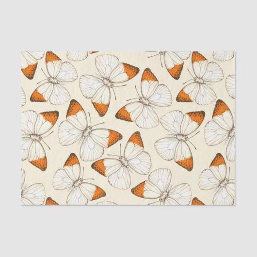 蝶の水彩模様 薄葉紙 (正面)