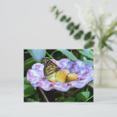 蝶の漫画 ポストカード (スタンド正面)