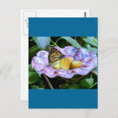 蝶の漫画 ポストカード (正面/裏面)