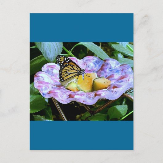 蝶の漫画 ポストカード (正面)