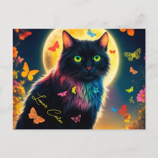 蝶の猫白熱［赤熱］光を放つの星空の夜動物 ポストカード (正面)