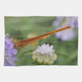 蝶の目！ キッチンタオル (横)