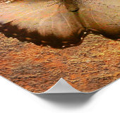 蝶の神が扉を開くポスターのウォールアート ポスター (角)